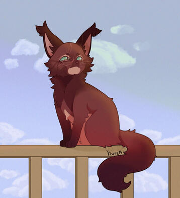 Pinefur Pinefur