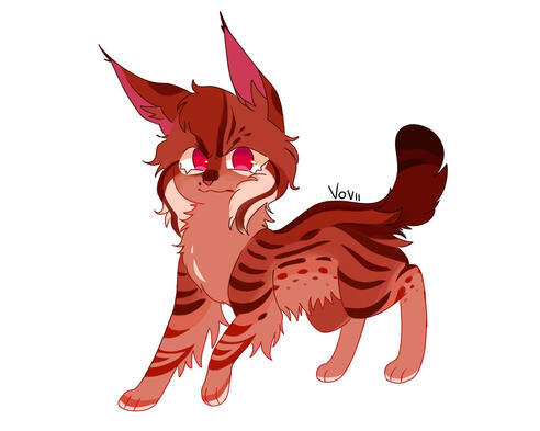 Lince Lince